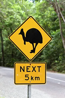 Cassowary warning sign in the rainforest, Daintree National Park, northern Queensland Cassowary warning sign in the rainforest, Daintree National Park, northern Queensland