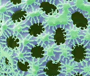 Diatom detail, SEM Diatom detail, SEM