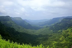 <b class=qtipBold><figcaption>Ever Green landscape</figcaption></b><br>ever-green mountain ranges of western ghats. Ever Green landscape