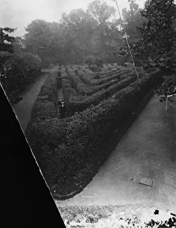 Hampton Court Maze Hampton Court Maze