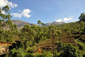 <b class=qtipBold><figcaption>Idukki</figcaption></b><br>Idukki is located in the western Ghats of Kerala. It has picturesque landscape of tea gardens and beautiful lakes. Idukki