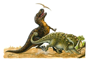Illustration of Pterosaur flying above Tyrannosaurus Rex as it looks up with open mouth Illustration of Pterosaur flying above Tyrannosaurus Rex as it looks up with open mouth