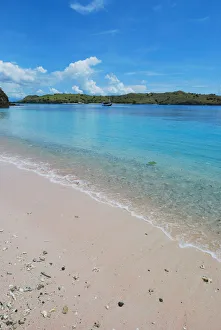 Komodo island Flores Komodo island Flores