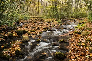 Landscape with Cataloochee Creek in Cataloochee Cove, Appalachian Mountains, Great Smoky Mountains National Park, North Carolina, USA Landscape with Cataloochee Creek in Cataloochee Cove, Appalachian Mountains, Great Smoky Mountains National Park, North Carolina, USA