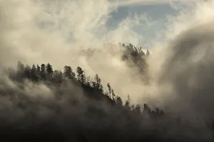 Landscape with forest and clouds, Morton Overlook, Great Smoky Mountains National Park Landscape with forest and clouds, Morton Overlook, Great Smoky Mountains National Park