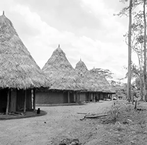 Liberian Village Liberian Village