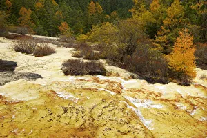 Lime terrace in autumnal environment, Huanglong National Park, Sichuan Province, China Lime terrace in autumnal environment, Huanglong National Park, Sichuan Province, China