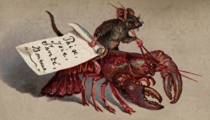 Lobster Jockey Lobster Jockey