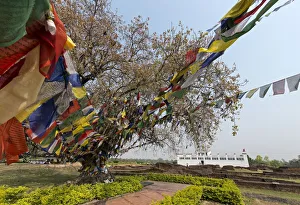 Maya Devi Temple, Lumbini, Nepal Maya Devi Temple, Lumbini, Nepal