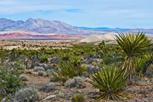 Million Hills seen from Gold Butte Road, Gold Butte National Monument, Mesquite, Nevada Million Hills seen from Gold Butte Road, Gold Butte National Monument, Mesquite, Nevada