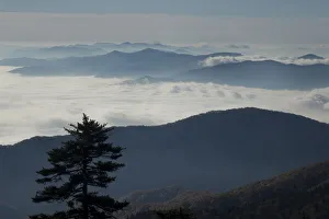 Mist in valley of Great Smoky Mountains National Park from Clingmans Dome, Tennessee, USA Mist in valley of Great Smoky Mountains National Park from Clingmans Dome, Tennessee, USA