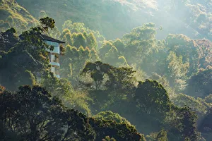 <b class=qtipBold><figcaption>Misty morning in the mountain forest</figcaption></b> Misty morning in the mountain forest