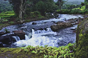 <b class=qtipBold><figcaption>Monsoon Magic</figcaption></b><br>Another shot of the same brook from my earlier post.Monsoon should get over soon and give way to autumn. Western Ghat Monsoon Magic