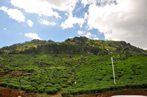 <b class=qtipBold><figcaption>Munnar</figcaption></b><br>Munnar hill station located in the western Ghats of Idukki district of Kerala. It has picturesque landscape of tea gardens and beautiful lakes. Favourite summer vacation destination for tourist in southern India. Munnar