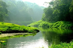 <b class=qtipBold><figcaption>Nature Untouched</figcaption></b><br>The pristine rain forests of Western Ghats in Sholayar wild life region of Kerala. Nature Untouched