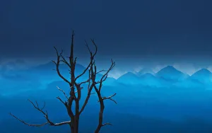<b class=qtipBold><figcaption>Nilgiris dreams</figcaption></b><br>Nilgiris dreams Thalakundha , Ooty. Nilgiris dreams