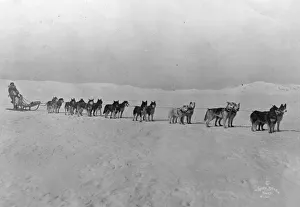 North Pole Huskies North Pole Huskies