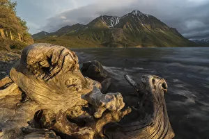Old log on the shores of Kathleen Lake being lit by the warm light of the setting sun Old log on the shores of Kathleen Lake being lit by the warm light of the setting sun