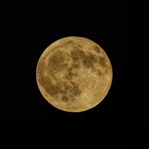 Orange Harvest Moon Orange Harvest Moon