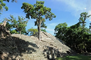 Overgrown Ancient Mayan Ruins at Copan, Honduras Overgrown Ancient Mayan Ruins at Copan, Honduras