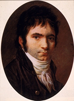 Portrait Of Beethoven Portrait Of Beethoven