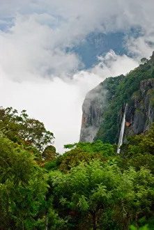 <b class=qtipBold><figcaption>Rainforest in Western Ghats, India</figcaption></b><br>Rainforest with abundant green, clouds and rain in the Western Ghats of South India. Rainforest in Western Ghats, India