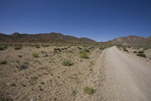 The Richtersveld is located in South Africa's northern Namaqualand, this arid area represents a harsh landscape where water is a great scarcity and only the hardiest of lifeforms survive. Northern Cape Province, South Africa The Richtersveld is located in South Africa's northern Namaqualand, this arid area represents a harsh landscape where water is a great scarcity and only the hardiest of lifeforms survive. Northern Cape Province, South Africa
