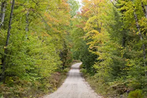 Road through autumn forest, Hiawatha National Forest, Upper Peninsula, Michigan, USA Road through autumn forest, Hiawatha National Forest, Upper Peninsula, Michigan, USA