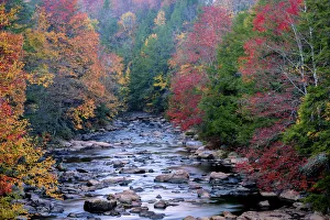 Rocky stream and autumn forest in Blackwater Falls State Park, Tucker County, West Virginia, USA Rocky stream and autumn forest in Blackwater Falls State Park, Tucker County, West Virginia, USA