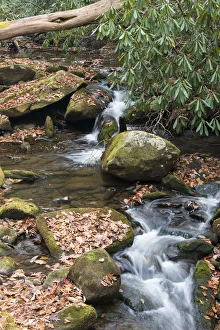Rocky stream in Great Smoky Mountains seen from Twenty Mile hike, North Carolina, USA Rocky stream in Great Smoky Mountains seen from Twenty Mile hike, North Carolina, USA