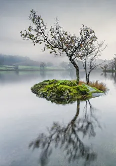 Calm Calm