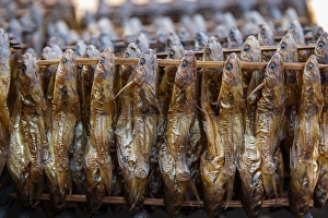 Smoked Fish Smoked Fish