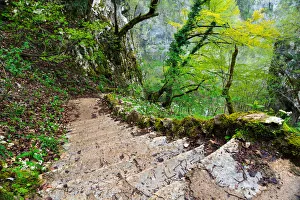 Stairs in Plitvice Lakes Stairs in Plitvice Lakes