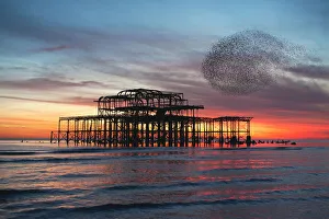 Starling Murmuration at Brighton's West Pier in England Starling Murmuration at Brighton's West Pier in England