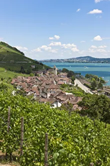 View over the vineyards on Twann village, Lake Bieler See, Canton Bern, Switzerland View over the vineyards on Twann village, Lake Bieler See, Canton Bern, Switzerland