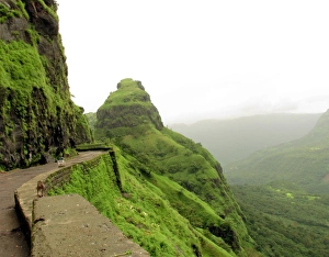 <b class=qtipBold><figcaption>Waghajai</figcaption></b><br>waghjai temple is based in varansha ghat section in western maharashtra, Indai. Waghajai