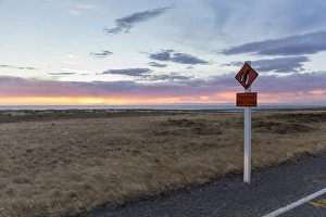 Warning sign Caution Penguins on a coastal road at dusk, Cape Palliser, Wellington Region Warning sign Caution Penguins on a coastal road at dusk, Cape Palliser, Wellington Region
