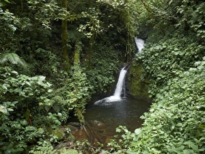 Waterfall in the Monteverde Cloud Forest Reserve, Reserva Biologica Bosque Nubosa Waterfall in the Monteverde Cloud Forest Reserve, Reserva Biologica Bosque Nubosa