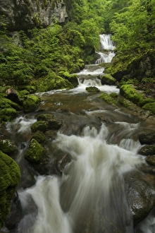 Waterfall in Twannbachschlucht gorge in the Swiss Jura Mountains, Biel, Canton of Solothurn, Switzerland Waterfall in Twannbachschlucht gorge in the Swiss Jura Mountains, Biel, Canton of Solothurn, Switzerland