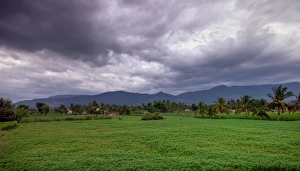 <b class=qtipBold><figcaption>Western ghats</figcaption></b> Western ghats