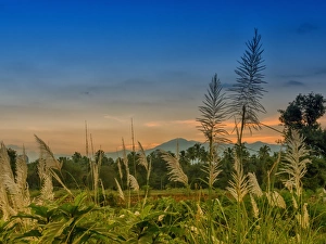 <b class=qtipBold><figcaption>Dusk</figcaption></b><br>Western Ghats, South India Dusk