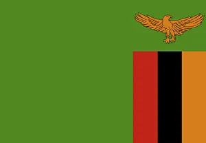Zambia Flag Illustration Zambia Flag Illustration
