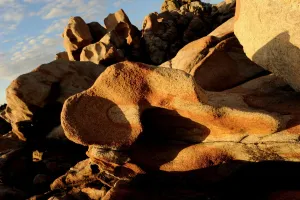 Australia-Theme-Tourism Australia-Theme-Tourism