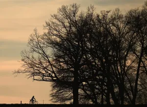 A cyclist passes along a country lane near the small Bavarian village of Puchheim near A cyclist passes along a country lane near the small Bavarian village of Puchheim near
