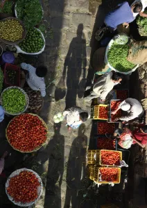 India-Travel-Market India-Travel-Market