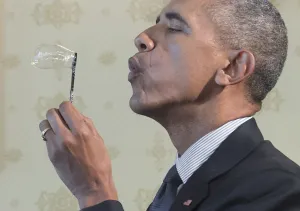 13 Apr 2016 13 Apr 2016