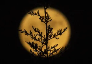 Spain-Science-Astronomy-Supermoon Spain-Science-Astronomy-Supermoon