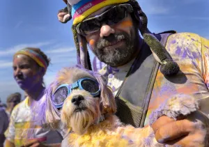 Switzerland-Offbeat-Color-Run Switzerland-Offbeat-Color-Run