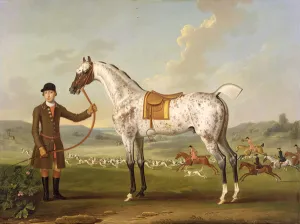 Scipio, Colonel Roche's Spotted Hunter, c.1750 (oil on canvas) Scipio, Colonel Roche's Spotted Hunter, c.1750 (oil on canvas)