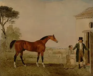 'Sultan' at the Marquess of Exeter's Stud, Burghley, 1826 (oil on canvas) 'Sultan' at the Marquess of Exeter's Stud, Burghley, 1826 (oil on canvas)